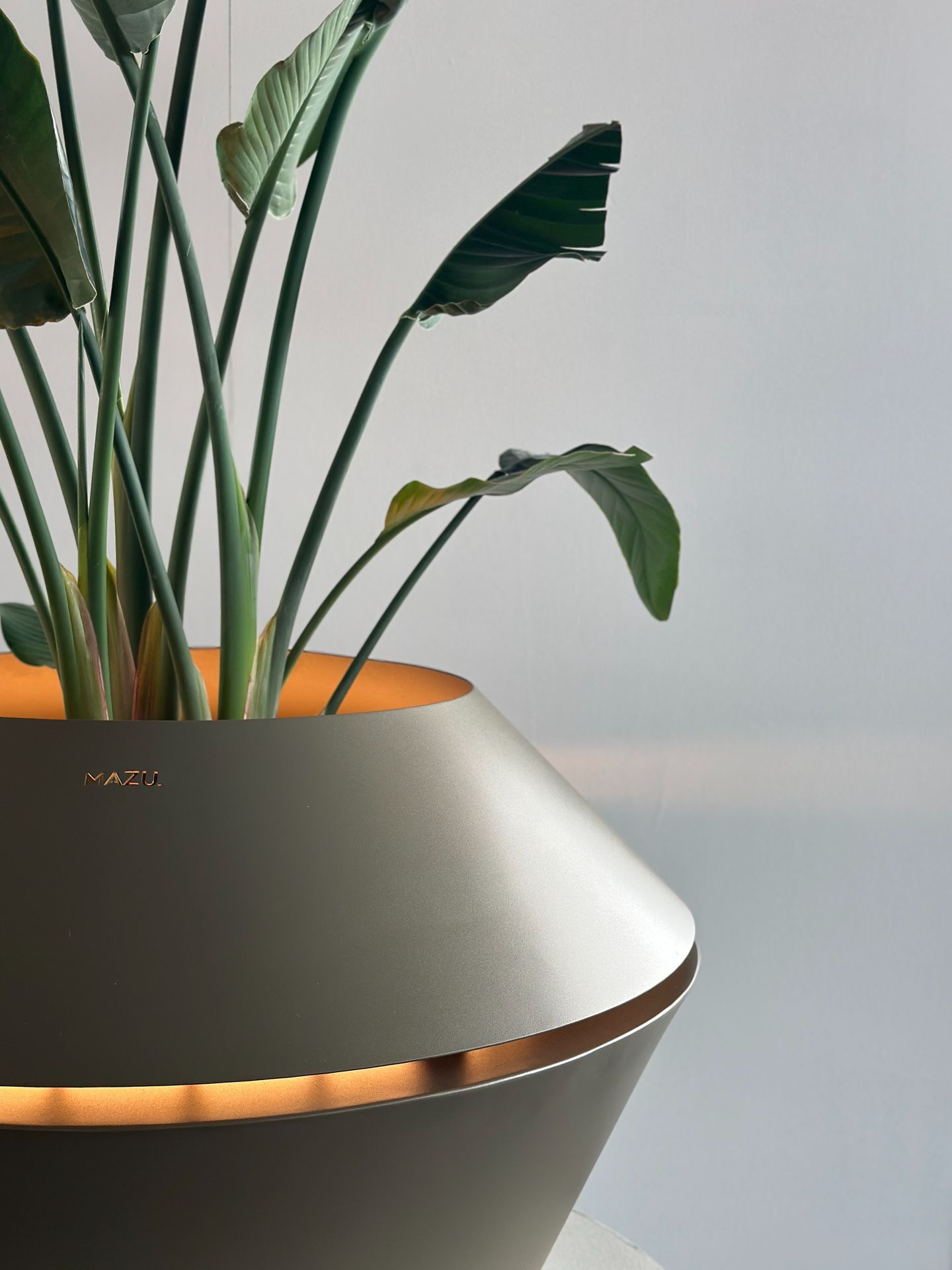 MAZU architectural planter designed with sustainability and longevity in mind